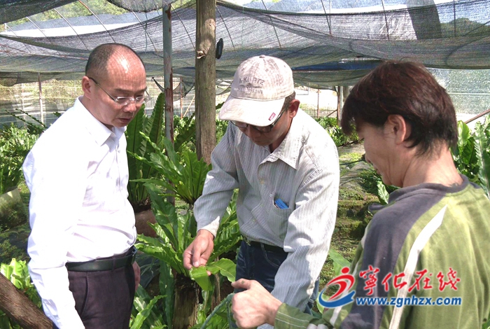 寧化縣領(lǐng)導(dǎo)開(kāi)展主題教育專(zhuān)題調(diào)研