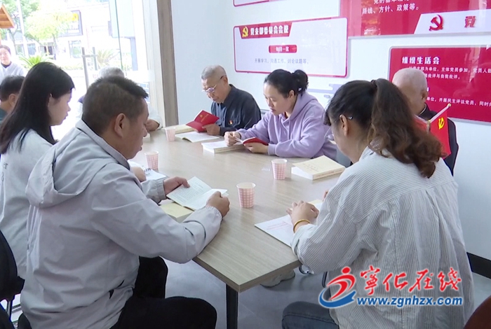 寧化翠江鎮：主題教育“充電”忙