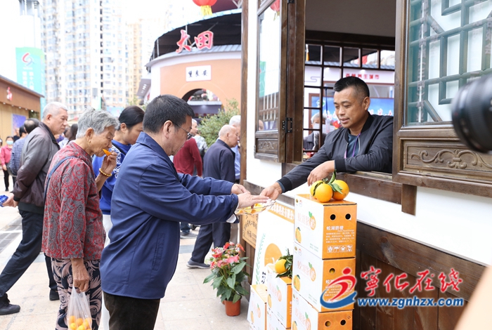 聚焦林博會|寧化：依托林博會平臺進一步深化嘉寧交流合作