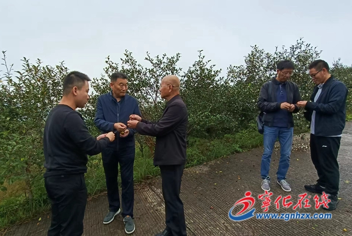 聚焦林博會|寧化：依托林博會平臺進一步深化嘉寧交流合作