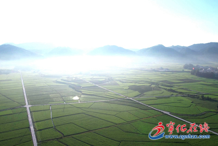 寧化:高標準農田建設讓糧田變“良田”