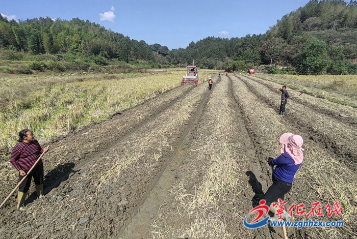 寧化:人才回引 激活鄉(xiāng)村振興“冬眠田”