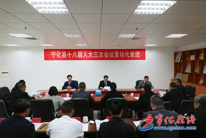 寧化縣領(lǐng)導(dǎo)參加人大分組審議