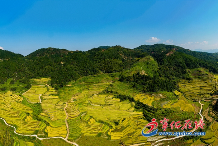 2023年中央一號文件在寧化縣引起熱烈反響