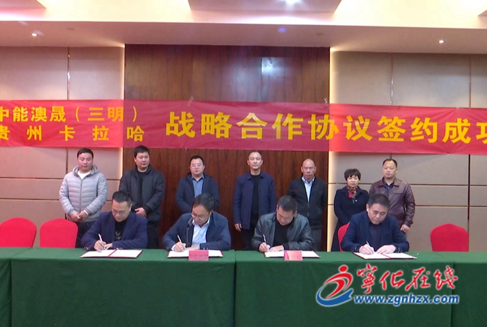 深學爭優 敢為爭先 實干爭效|寧化農企與貴州企業攜手做強羊產業鏈