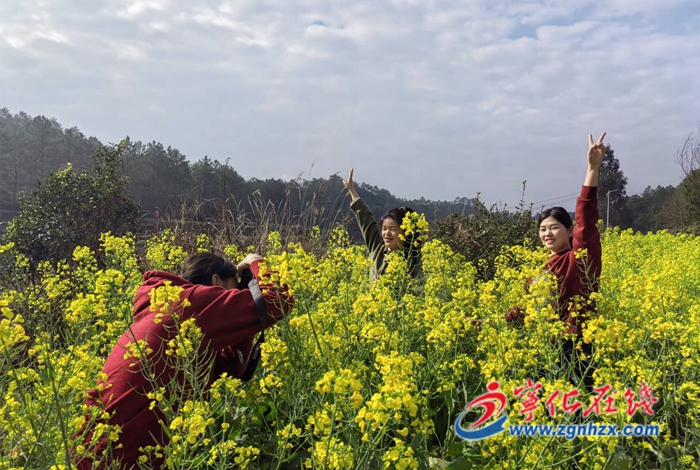 寧化淮土：撂荒地變身致富田