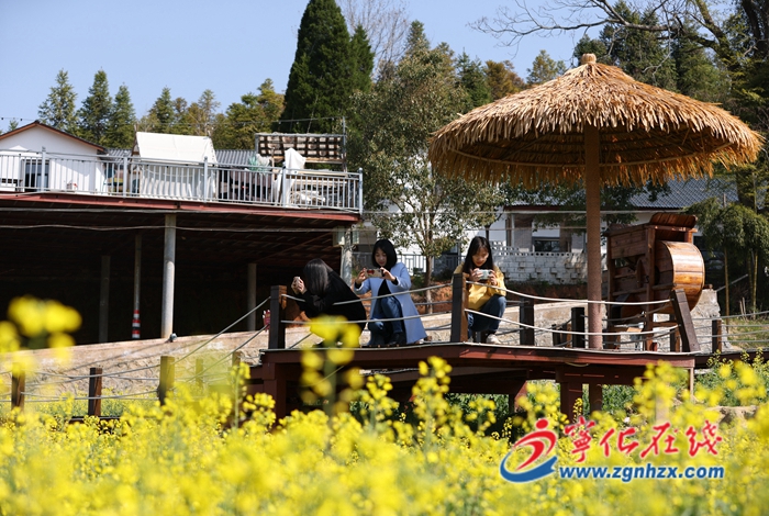 寧化城郊鎮：賞花經濟帶火近郊游