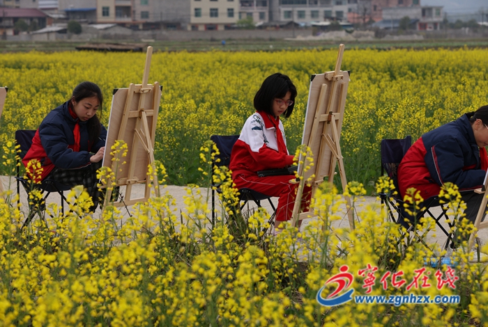寧化泉上鎮(zhèn)：“賞花經(jīng)濟”蹚出鄉(xiāng)村振興新路子