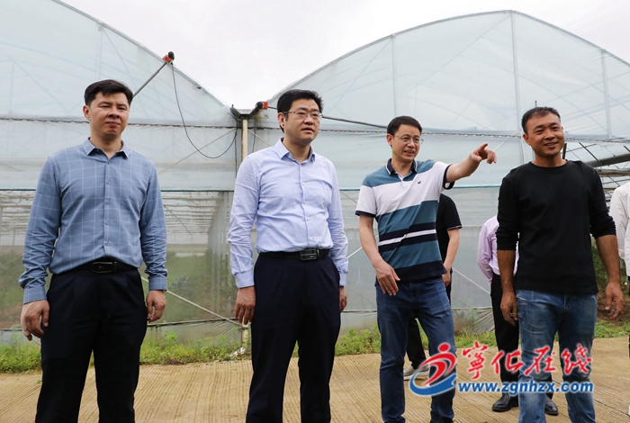 寧化縣領(lǐng)導(dǎo)調(diào)研鄉(xiāng)村振興工作