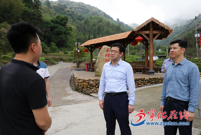寧化縣領導調研鄉村振興工作
