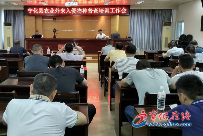 寧化首次啟動(dòng)農(nóng)業(yè)外來(lái)入侵物種普查