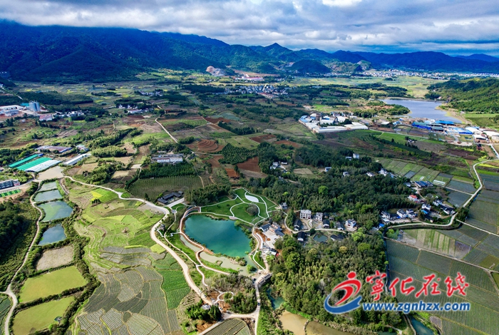 寧化:“書記領辦項目”促村民村財雙增收