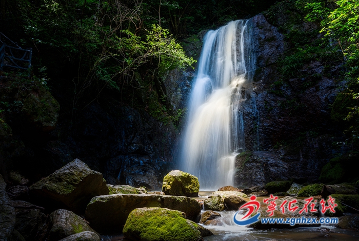 守護綠水青山 產業生態雙贏——綠水青山間的寧化故事