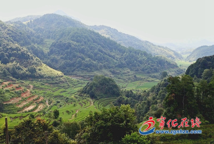 寧化縣水茜鎮：以黨建引領抓實“書記領辦項目”