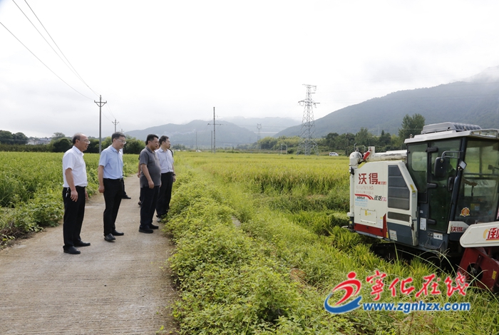 市領導來寧化調研現代種業產業鏈工作
