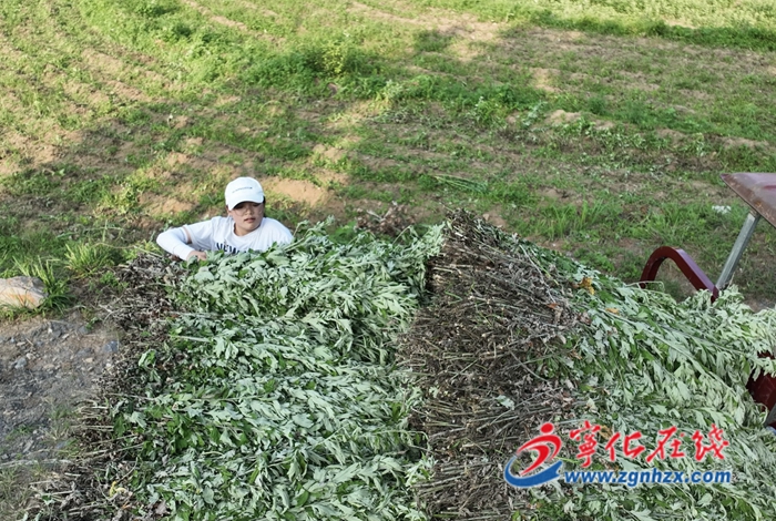 聚焦成長全周期 鍛造振興生力軍——寧化縣實施“青雁培育”工程破解大學生村主干培育難題側記