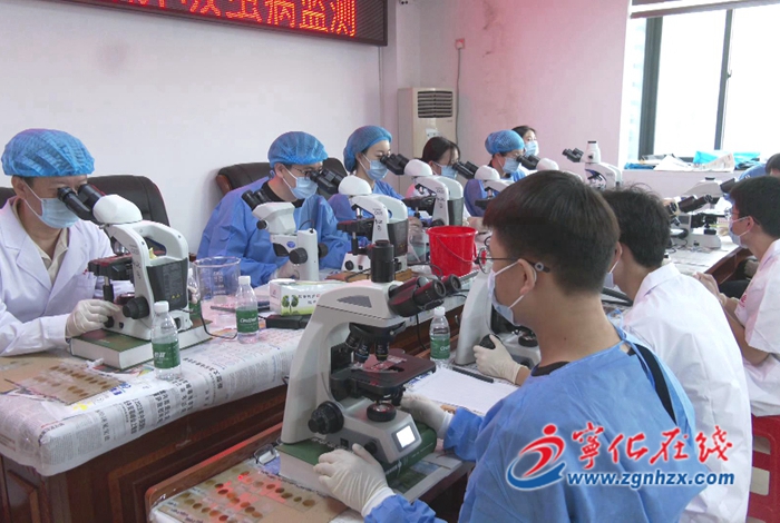 寧化縣開展2023年肝吸蟲病防治監測工作