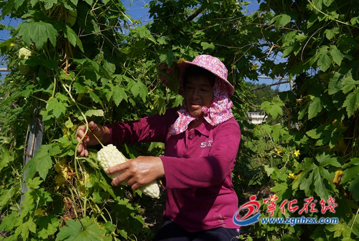 寧臺融合助推特色現代產業
