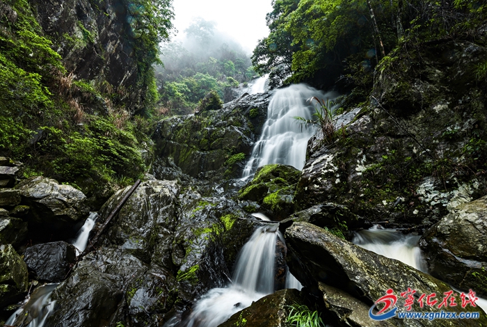 寧化新增一個省級森林鄉鎮:濟村鄉