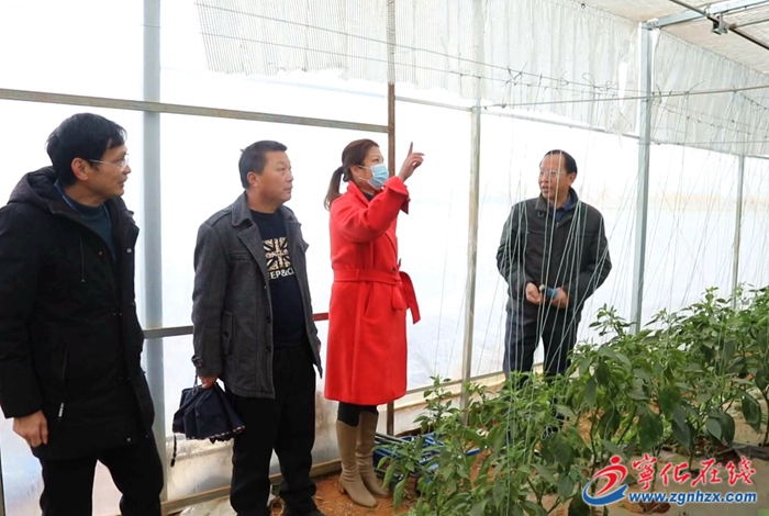 市農(nóng)業(yè)農(nóng)村局來寧開展農(nóng)產(chǎn)品質(zhì)量安全監(jiān)督抽查