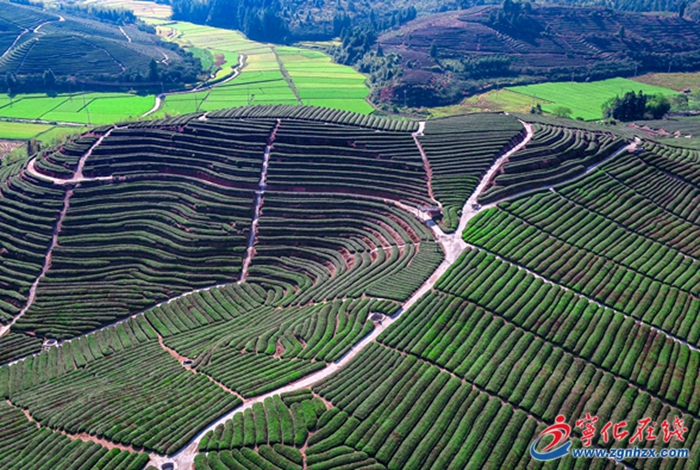 政府工作報(bào)告解讀|寧化:堅(jiān)持宜居宜業(yè)建城鄉(xiāng) 加快繪就生態(tài)文明新畫卷