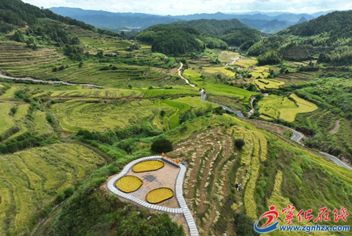 河龍鄉：以工代賑惠民生 暢通鄉村振興路