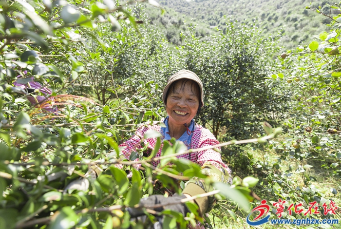 寧化縣淮土鎮：人不負青山，青山定不負人