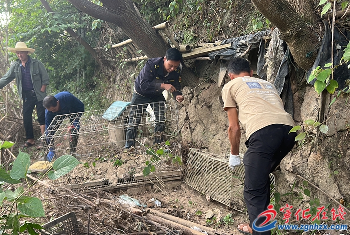 水茜鎮(zhèn)開(kāi)展河湖“清四亂”行動(dòng)