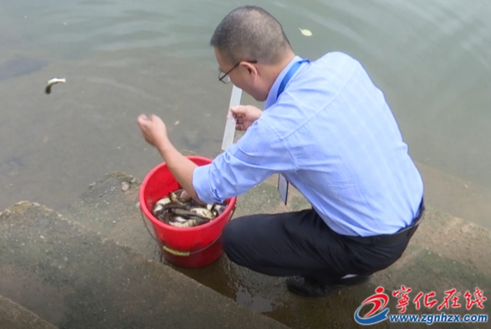 寧化：開展增殖放流活動 保護生態環境