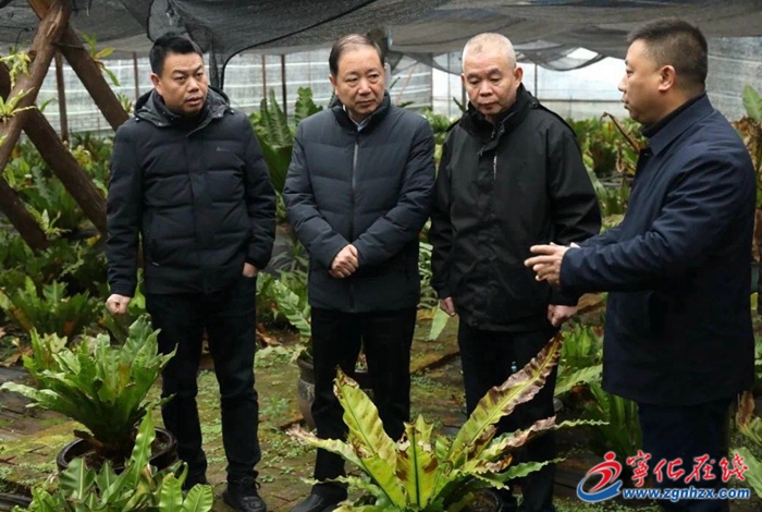 省人大常委會調(diào)研組來寧開展人大僑臺工作調(diào)研