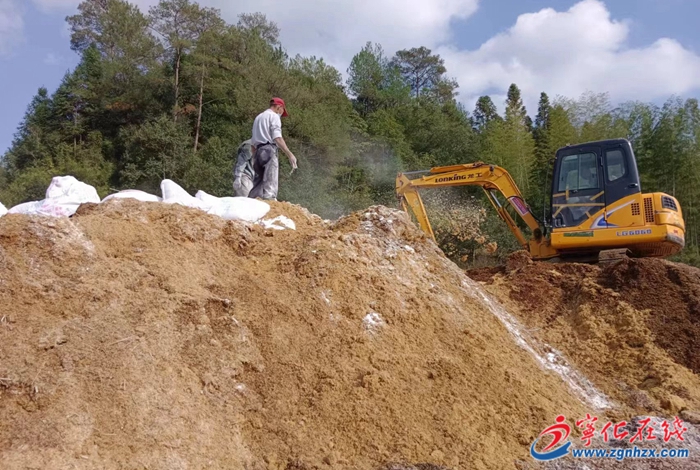 四領一促 | 竹蓀種植忙！寧化這個鄉鎮開啟助農新篇章