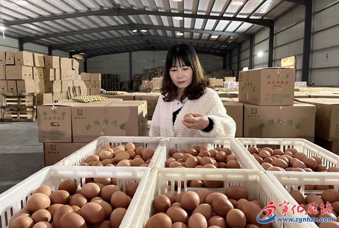 林榮：敢為人先的巾幗致富帶頭人