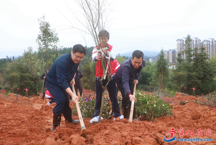 寧化縣領導參加義務植樹活動