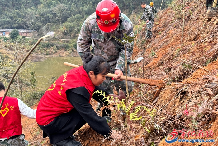 植樹造林添新綠，共建生態好家園