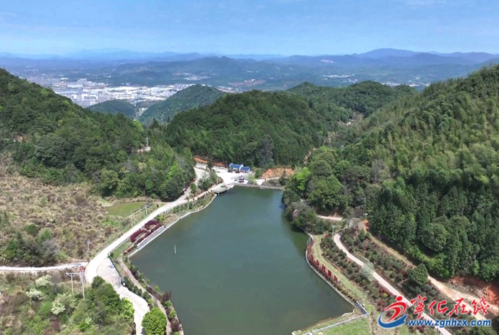 寧化縣城南鎮(zhèn)：致富路上“藥”飄香