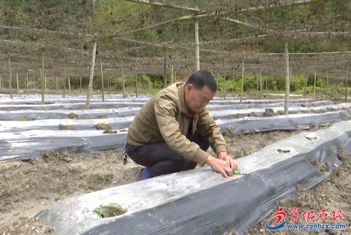 習(xí)近平總書記會見馬英九講話引在寧臺商強烈共鳴