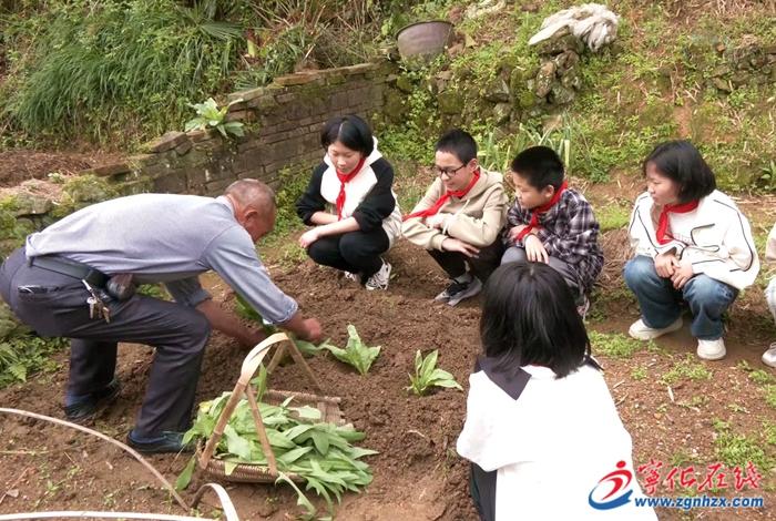 老少共融，寧化這所鄉(xiāng)村幸福院注入“新活力”