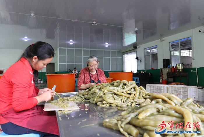 寧化:發(fā)揮協(xié)會(huì)力量,賦能鄉(xiāng)村振興