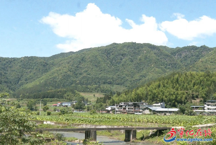 牢記囑托 踐行大食物觀|濟村鄉:閩臺農業融合發展 田間“豐”景美好