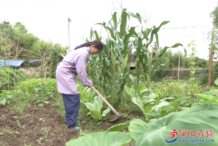 第六屆三明市道德模范丨葉香：用愛和責任撐起一個家