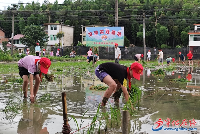 河龍中心學(xué)校：體驗(yàn)貢米種植 收獲勞動樂趣