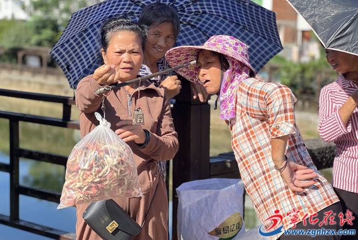 中沙鄉(xiāng)菌子飄香市場(chǎng)“熱”百菌出山富農(nóng)家