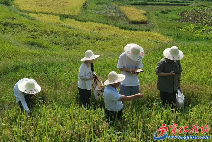 河龍鄉(xiāng):聚人才力量,促產(chǎn)業(yè)振興