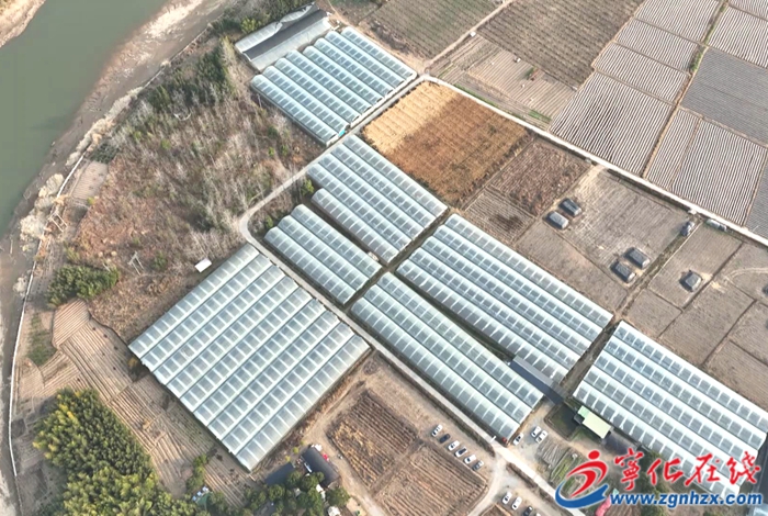 城南鎮：農旅融合新發展  露營采摘樂無窮