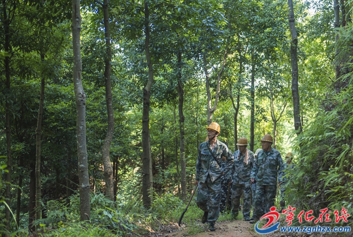 寧化：智慧林場邁新步