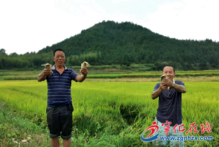 河龍鄉(xiāng)：生態(tài)種養(yǎng)，助民增收