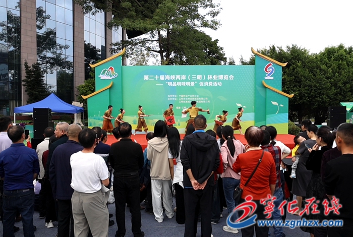 寧化縣開展第十七屆海峽論壇?第四屆海峽兩岸（三明）鄉村融合發展論壇主題日活動