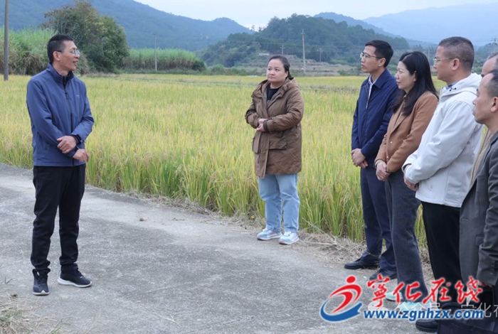 寧化:牡蠣殼“跨界”當肥料 讓千畝酸土變沃土