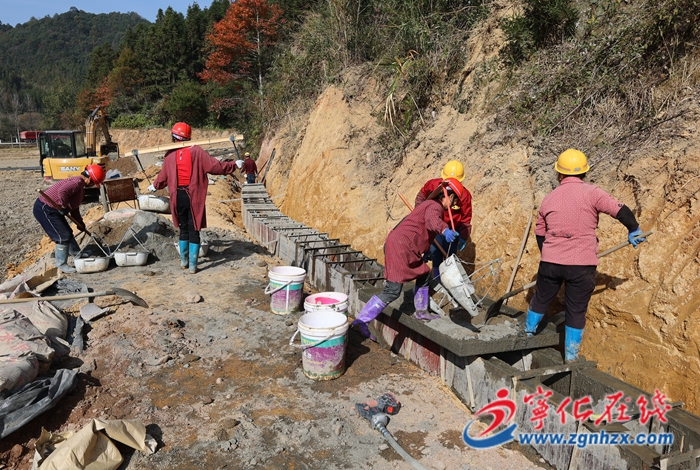 安遠鎮：高標準農田建設提速 夯實糧食安全根基