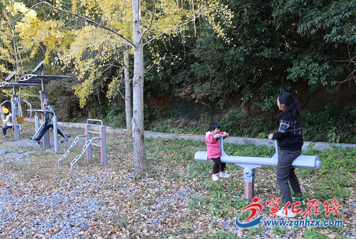 寧化:銀杏披“金”美如畫(huà)